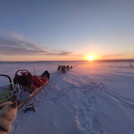 Varjjatgeainu Apartment Nesseby Varangerbotn Экстерьер фото