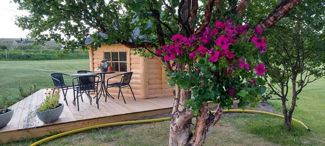 Varjjatgeainu Apartment Nesseby Varangerbotn Экстерьер фото